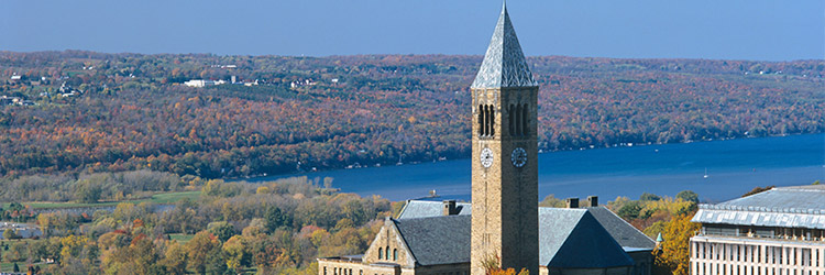 cornell university